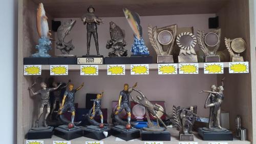 brave, kvake, cilindri, pehari, giftshop, plakete, pokloni vrsac baterije varta