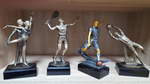 brave, kvake, cilindri, pehari, giftshop, plakete, pokloni vrsac baterije varta